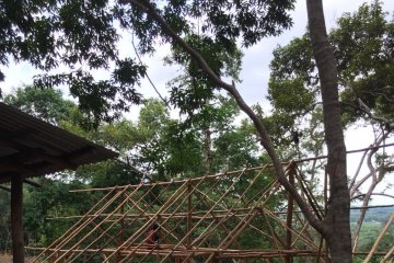 "Durian surga" itu jatuhnya di Mentok