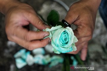 MAWAR JELANG VALENTIN