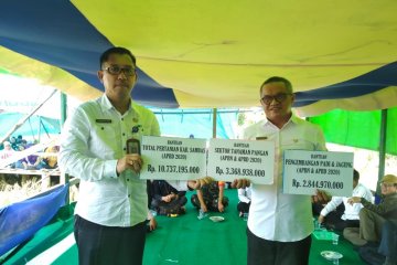 Sambas dapat bantuan benih padi hibrida seluas 2.700 hektare