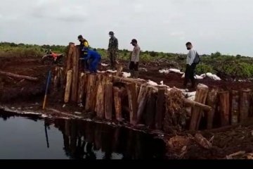 Kapolres Muaro Jambi partoli udara cek sekat kanal di Kumpeh