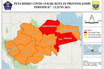 Satgas sebut Kota Jambi, Muarojambi dan Tanjabbar zona merah COVID-19