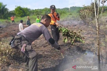Puluhan titik api muncul di Bengkayang Kalbar