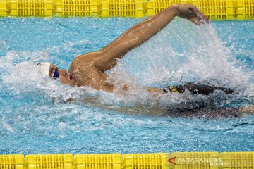 PON Papua : Perenang Papua Farrel Armandio Tangkas sabet emas nomor 200 meter gaya punggung