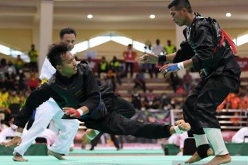 Menpora nilai PON Papua berjalan lancar