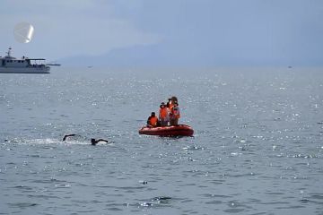 Putra jabar tambah satu medali emas renang terbuka PON XX