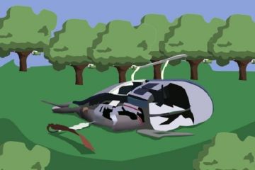 Helikopter wisatawan jatuh di Tanzania, lima orang tewas