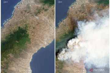 Kebakaran hutan di Pulau Tenerife, Spanyol