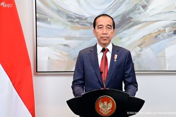 Kecam kekerasan di Gaza, Jokowi: Indonesia tidak akan tinggal diam