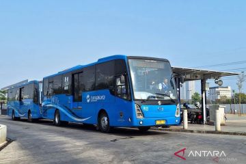 Legislator desak TransJakarta revisi aturan penggunaan kaos partai