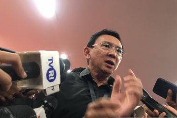 Ahok: Saya akan fokus kampanye di Jakarta
