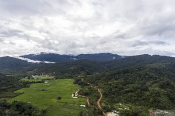 Garam gunung Krayan kesukaan Raja Brunei