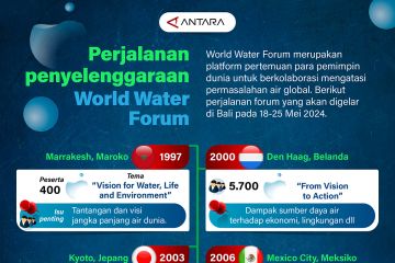 Perjalanan penyelenggaraan World Water Forum