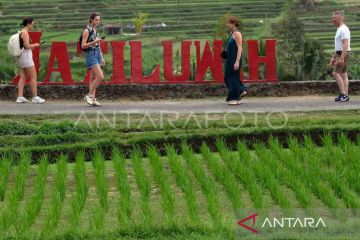 Pengamat: Jatiluwih dapat kesempatan emas dari kunjungan delegasi WWF