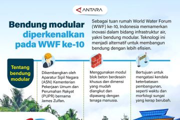 Bendung modular diperkenalkan pada  WWF ke-10