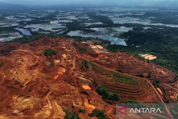 Membenahi standar ESG agar nikel Indonesia mendunia