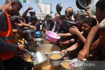 Paus Leo XIV: Hentikan perang di Gaza, Ukraina