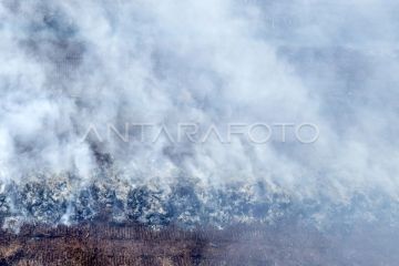 Karhutla di Muaro Jambi