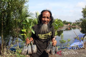 Penanaman 3000 batang bakau merah di Dumai