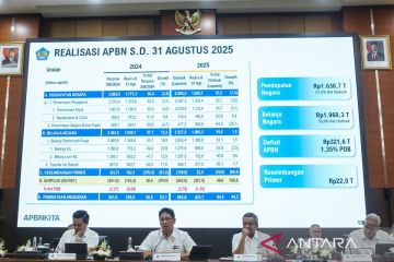 Purbaya akan pertimbangkan BPN jika penerimaan negara tak optimal