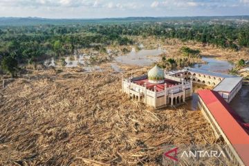 Tumpukan batang kayu dan lumpur hambat akses ke Desa Tanjung Karang, Aceh Tamiang