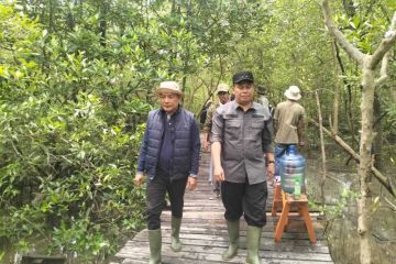 ANTARA JAMBI TANAM MANGROVE MEMENTUM HUT KE-88