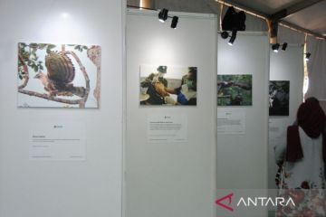 Pameran Fotografi Elang Jawa dan Konservasi Spesies Penting Jawa di Kota Bogor