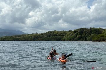 Simak kegiatan-kegiatan yang bisa dilakukan saat vakansi di Pulau Menjangan