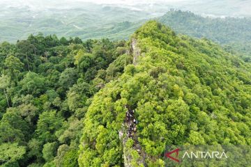 Otorita IKN kembangkan ekowisata komunitas sejahterakan warga lokal