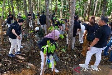 Pemulihan ekosistem hutan di IKN dilakukan secara ekologis