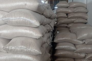 Pemkab Lebak jamin stok beras aman hingga Lebaran tahun ini