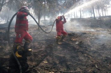 Kemenhut intensif padamkan karhutla di Riau dan Kepri