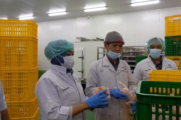 Hasil sidak Satgas Pangan Polda Sumut di pabrik pengolahan daging ayam