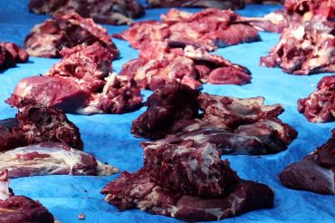 Setiap desa bencana di Aceh dapat bantuan sapi untuk rayakan Meugang