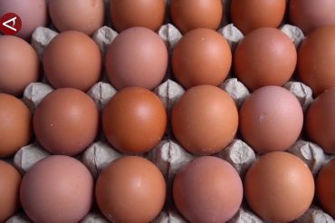 Pemerintah pastikan stok pangan hingga BBM aman jelang Ramadhan 2026