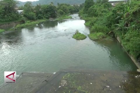 Membekali Wartawan dengan Wawasan Lingkungan