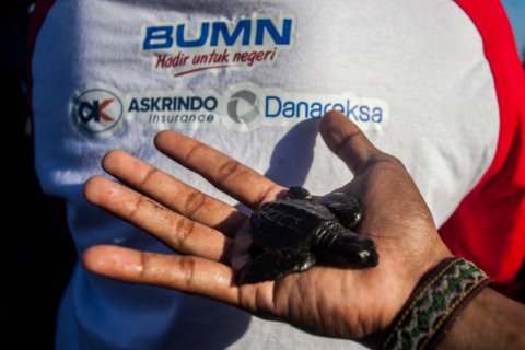 BUMN HADIR-EDUKASI PELESTARIAN LINGKUNGAN