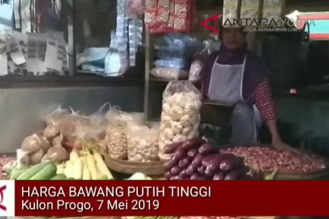 VIDEO: harga bawang putih di Kulon Progo naik