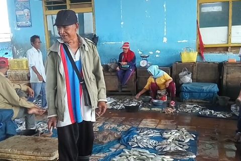 Harga ikan turun di Lampung Timur