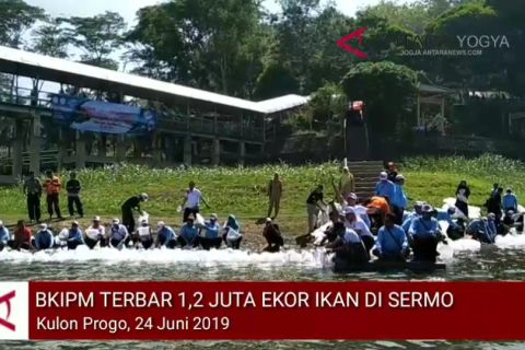 VIDEO: BKIPM tebar 1,2 juta benih ikan di Waduk Sermo