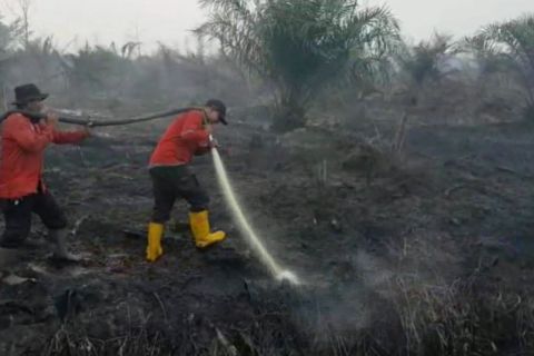 Karhutla hanguskan lebih dari seratus hektare di Pelalawan