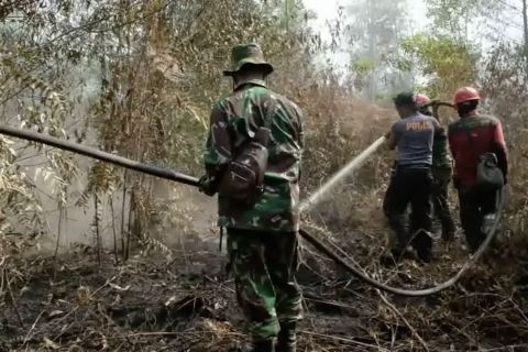 3 hari karhutla di perbatasan Kota Pekanbaru