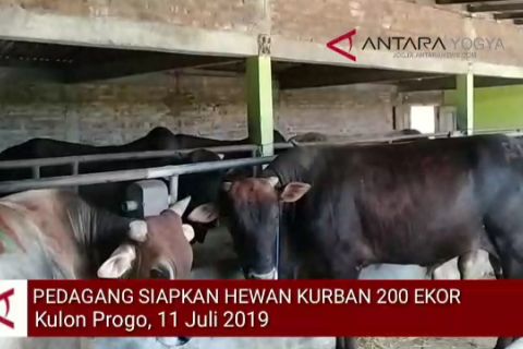 VIDEO: Pedagang datang hewan kurban dari Gunung Kidul