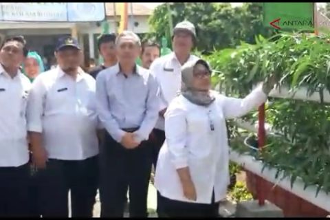 VIDEO: Panen lele kolam bulat