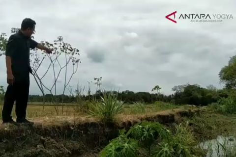 VIDEO: FPDIP harapkan BBWSSO normalisasi Sungai Papah