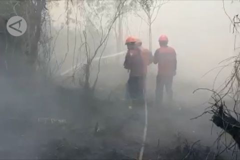 Manggala Agni padamkan karhutla di Rimbo Panjang