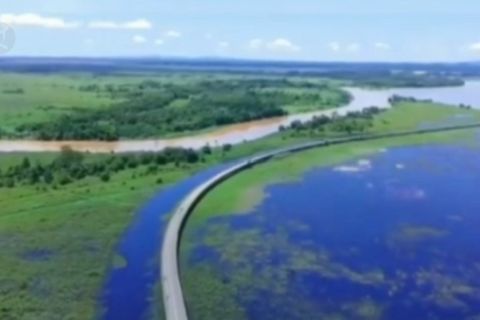 Membedah konsep kota hutan calon ibu kota baru