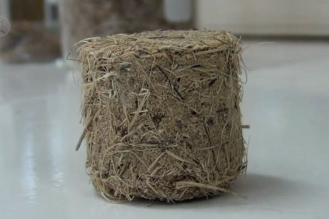 Manfaatkan limbah onggok menjadi panel akustik