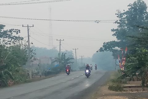 Mesuji masih diselemuti kabut asap