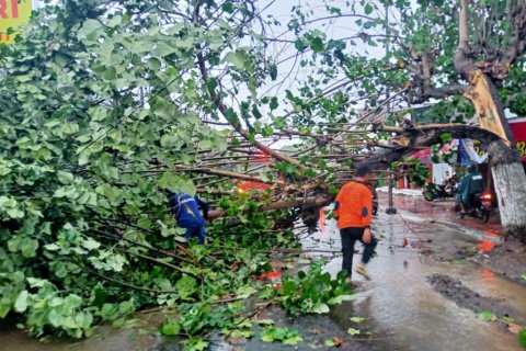 Hujan deras disertai angin kencang kembali melanda Jember
