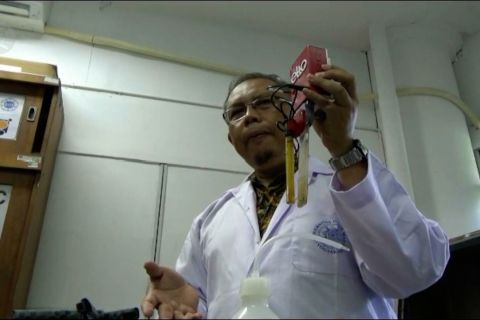 Ada Elto yang berfungsi layaknya lidah manusia